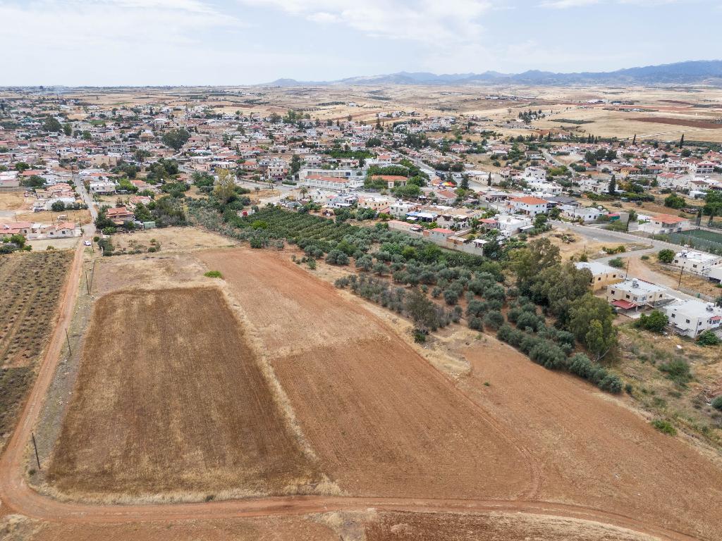 Field - Astromeritis, Nicosia