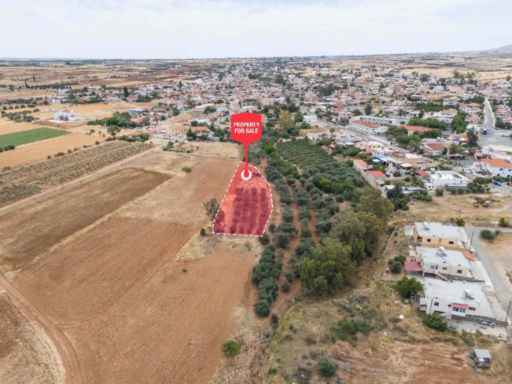 Field - Astromeritis, Nicosia