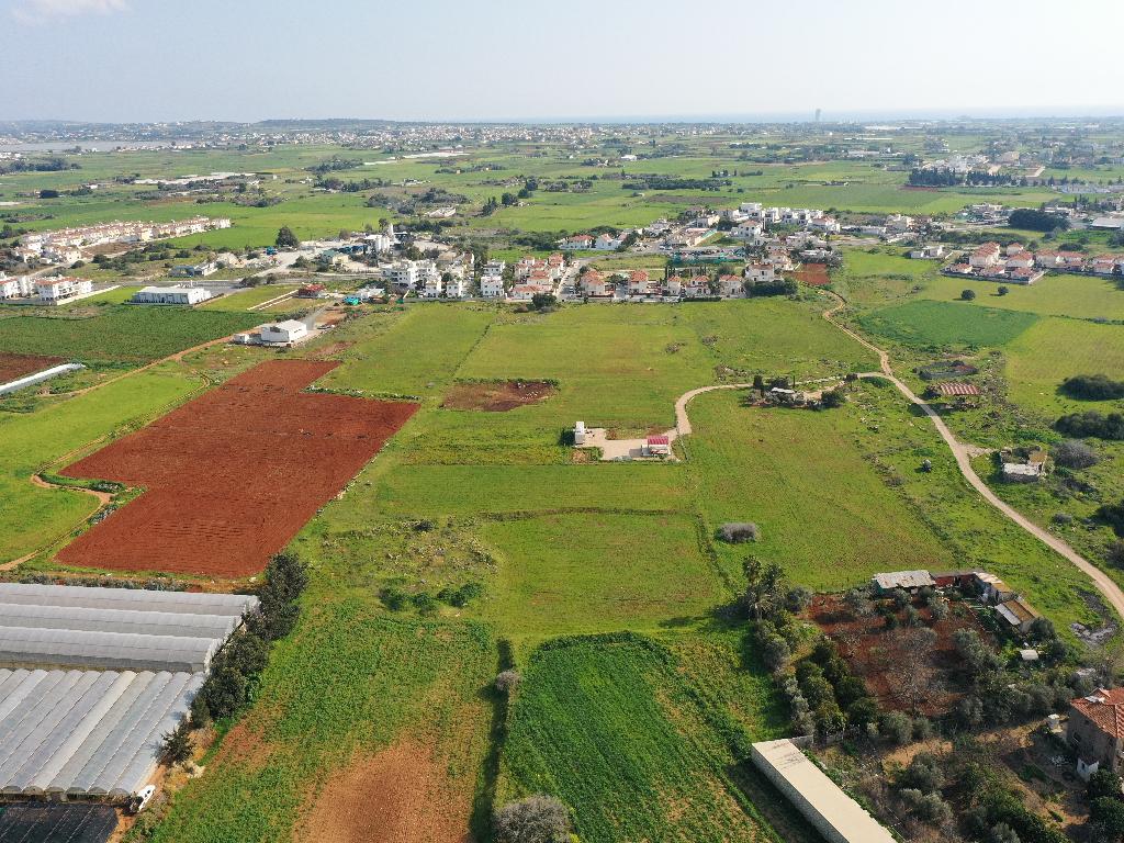 Field - Frenaros, Famagusta