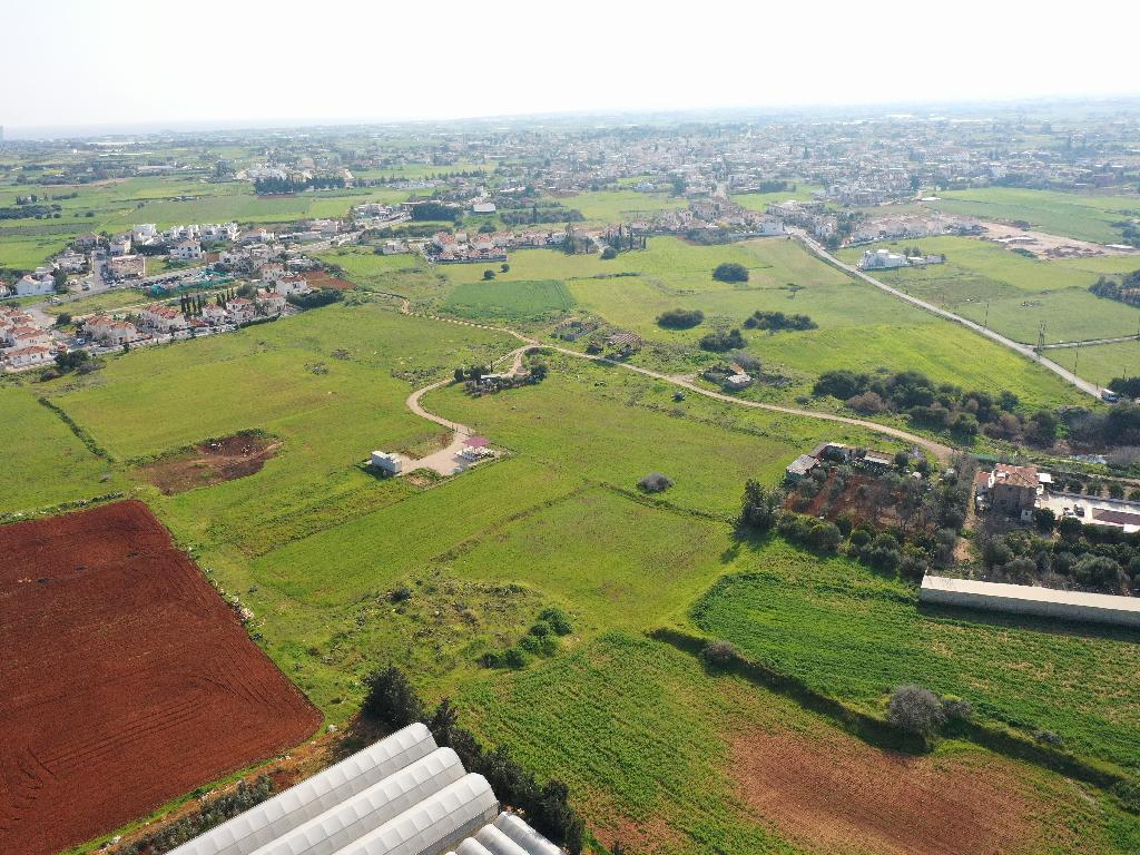 Field - Frenaros, Famagusta