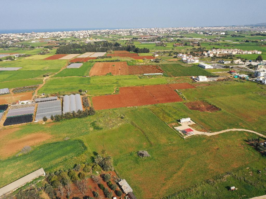 Field - Frenaros, Famagusta