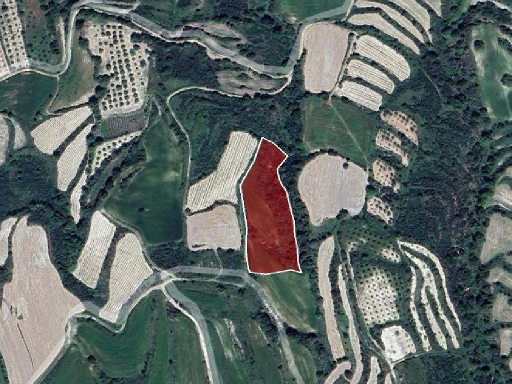 Field-Drymou-PR14777