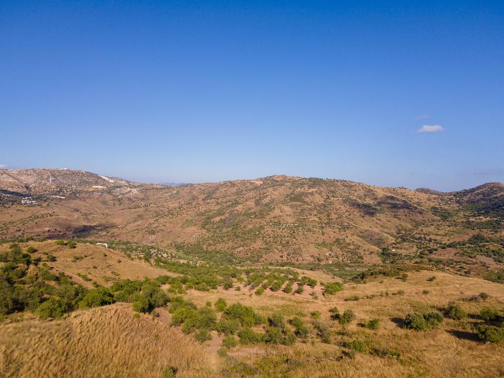 Field-Episkopi-PR32646