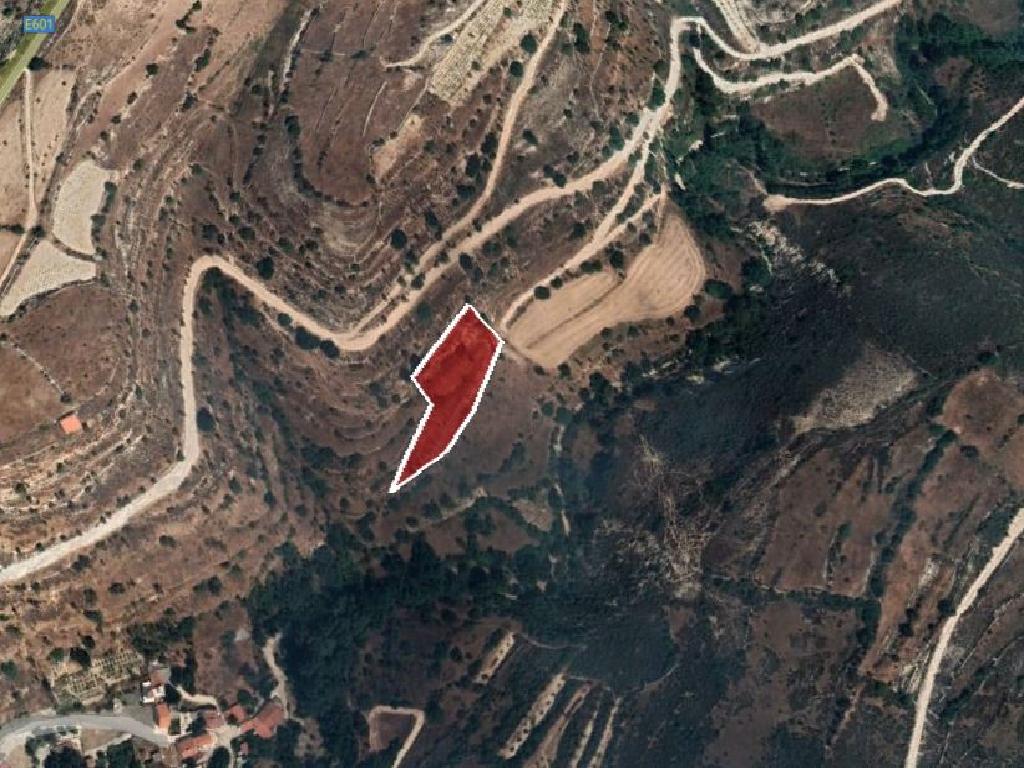 Field-Kissousa-PR36149