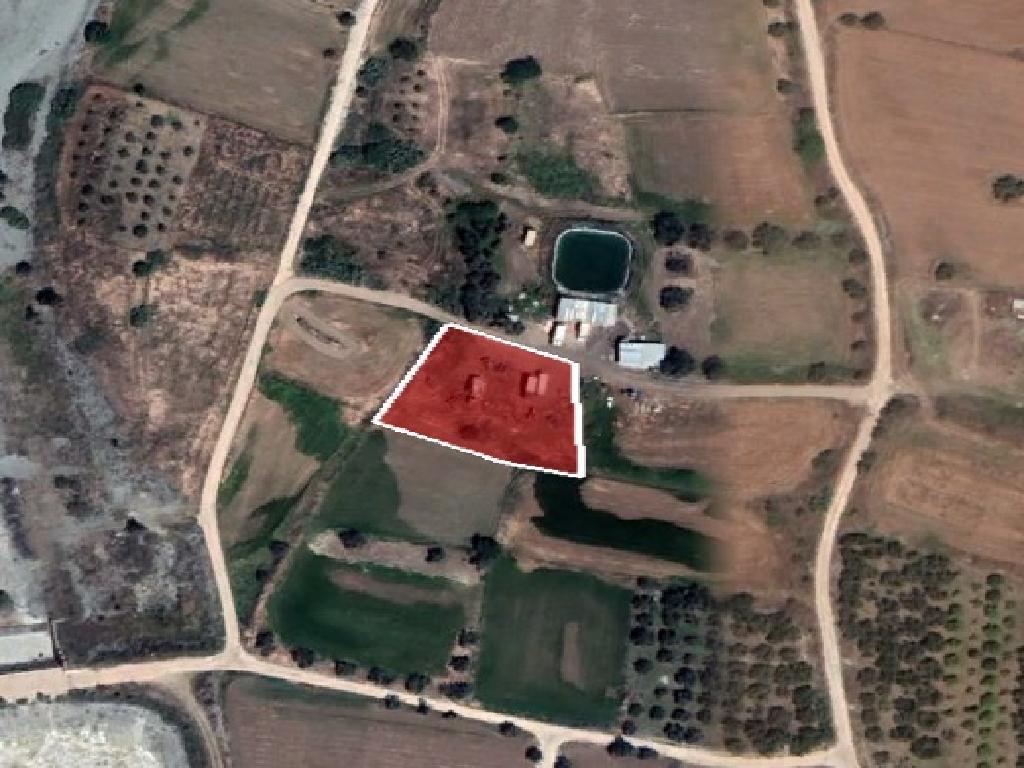 Field - Orounta, Nicosia