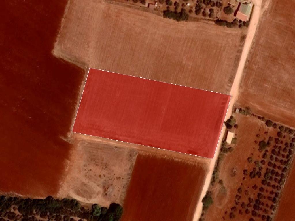 Field - Xylofagou, Larnaca