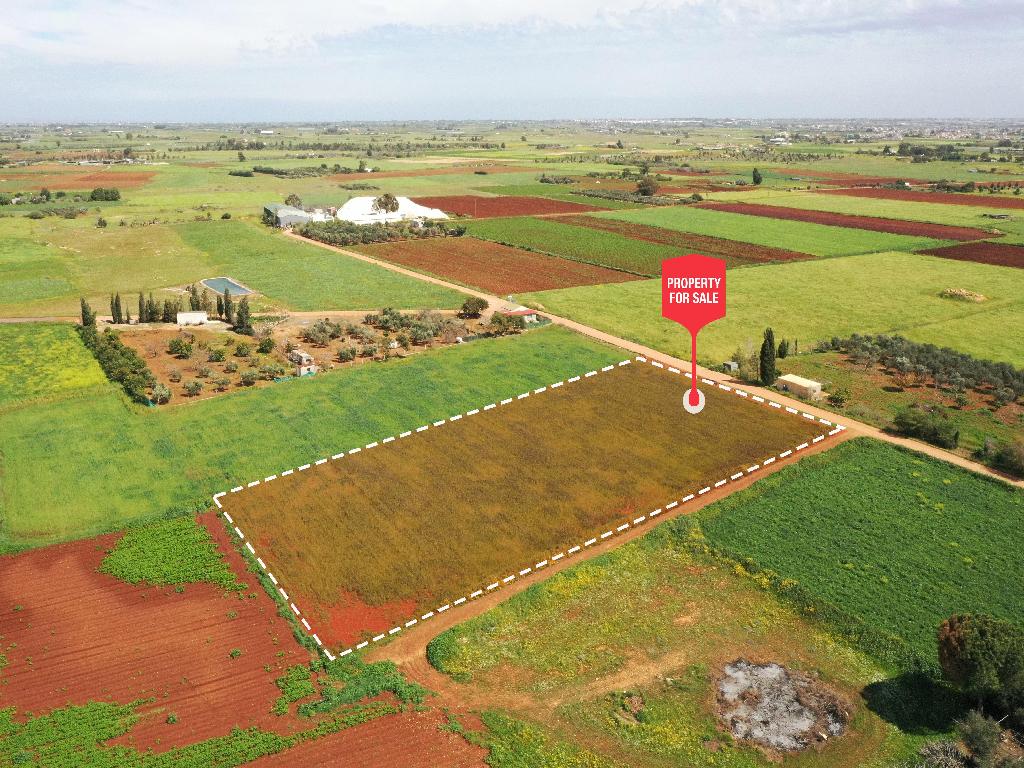 Field - Xylofagou, Larnaca