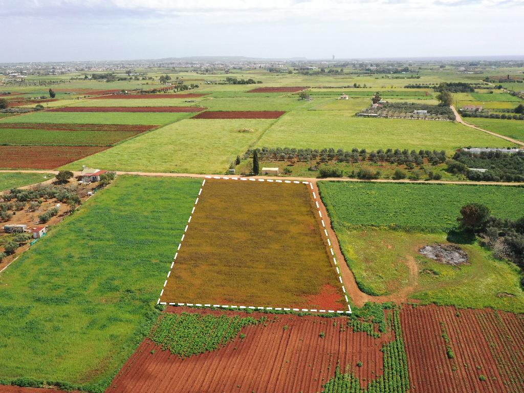 Field - Xylofagou, Larnaca