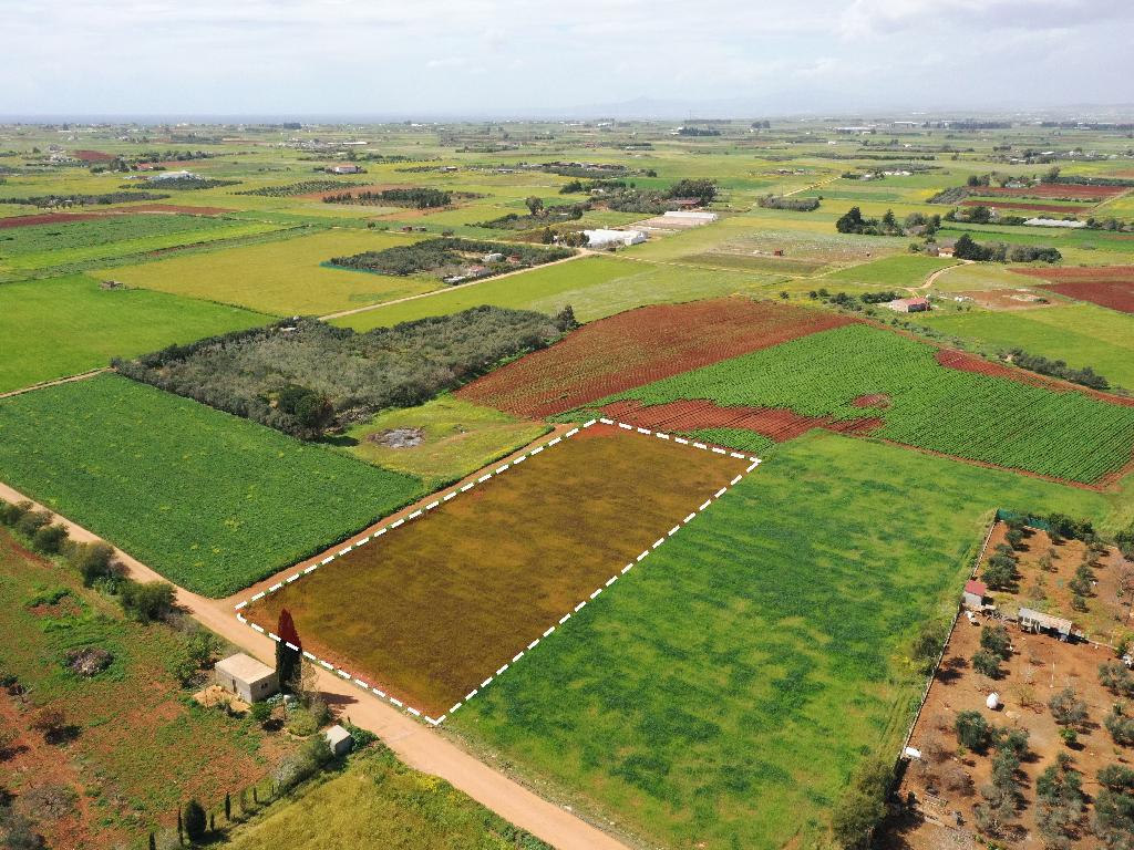 Field - Xylofagou, Larnaca