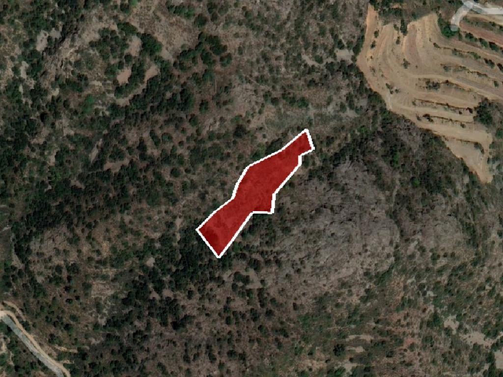 Field-Odou-PR37525
