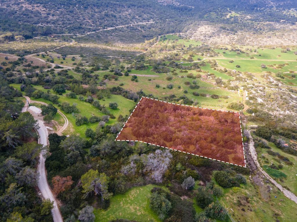 Field (Share) - Neo Chorio, Paphos