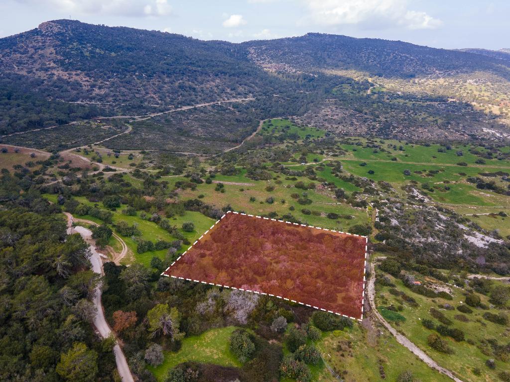 Field (Share) - Neo Chorio, Paphos