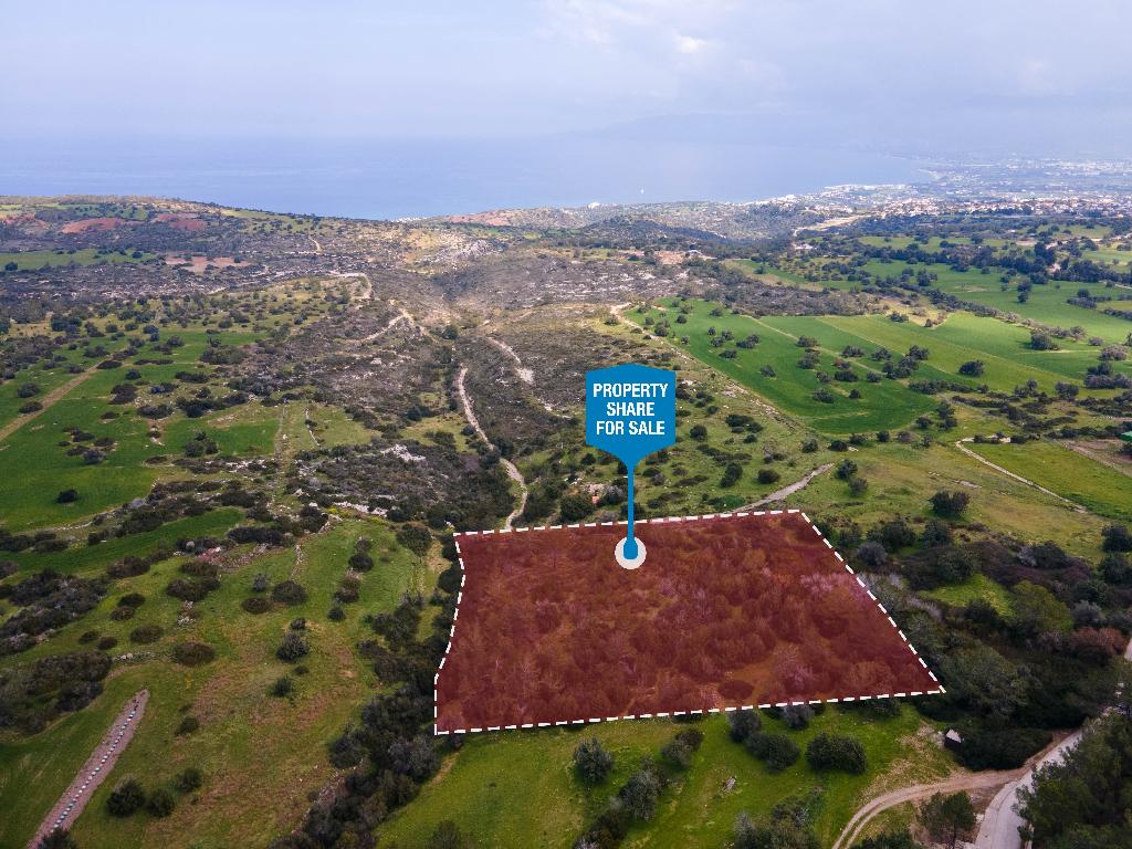 Field (Share) - Neo Chorio, Paphos