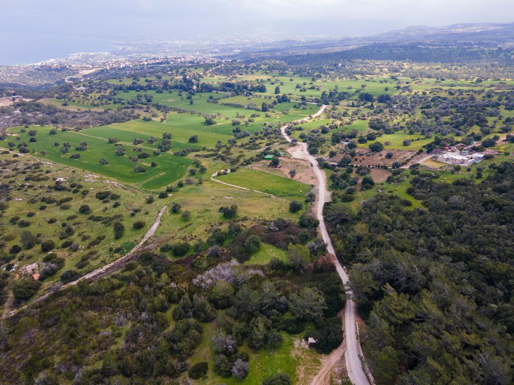 Field (Share) - Neo Chorio, Paphos