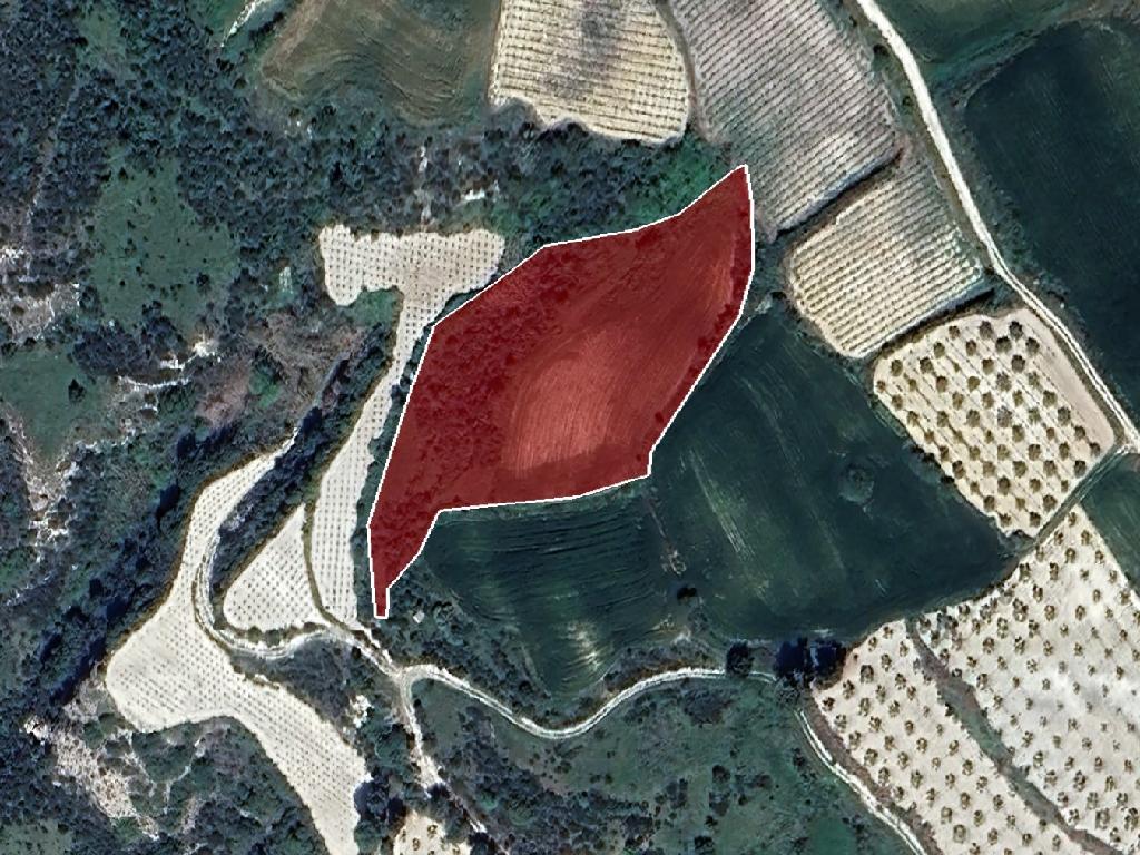 Field-Stroumpi-PR39471