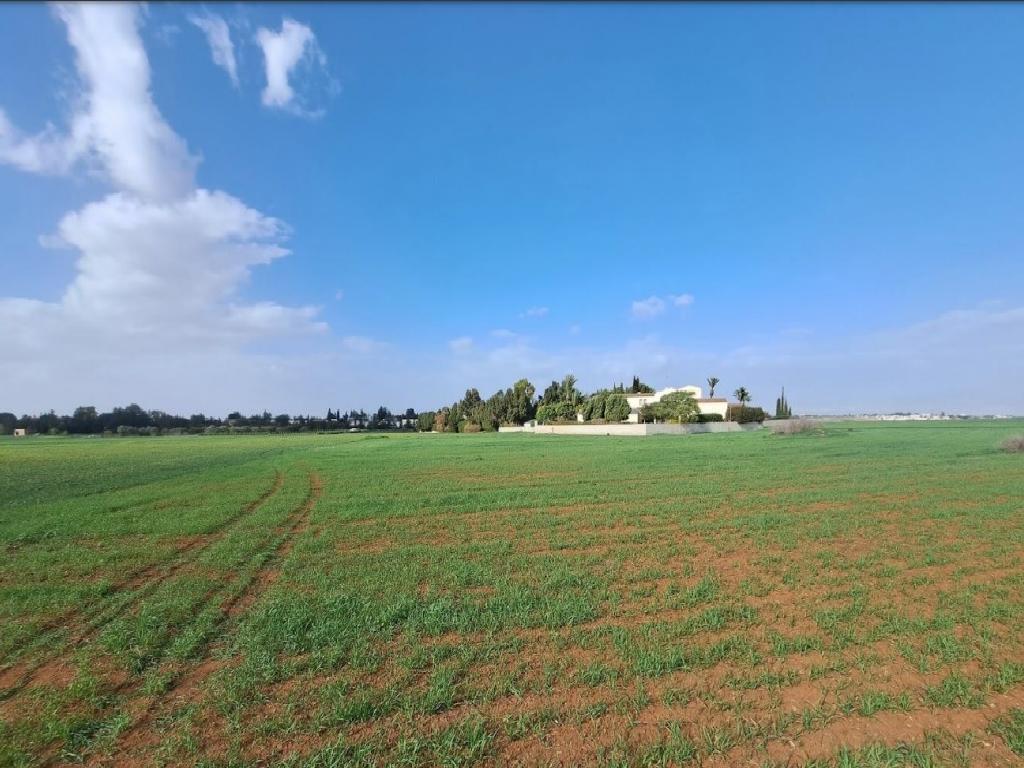 Field-Geri-PR39931