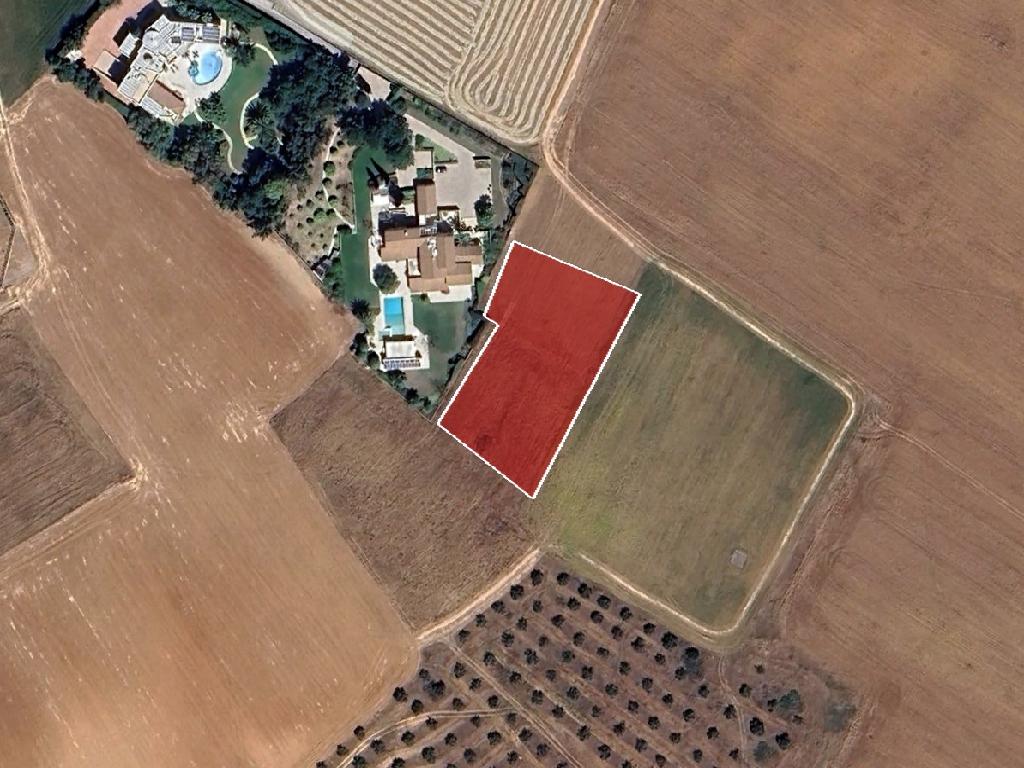Field-Geri-PR39931