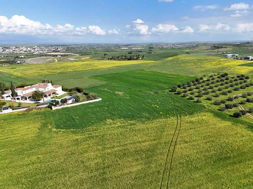 Field-Geri-PR39931