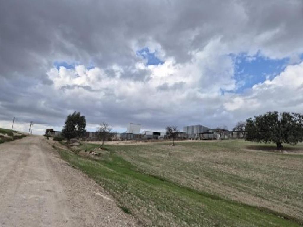 Field-Lympia-PR39993