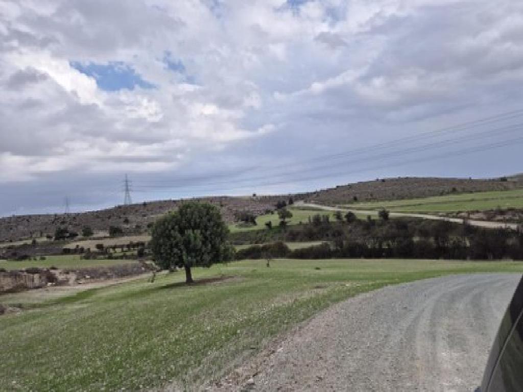 Field-Lympia-PR39993