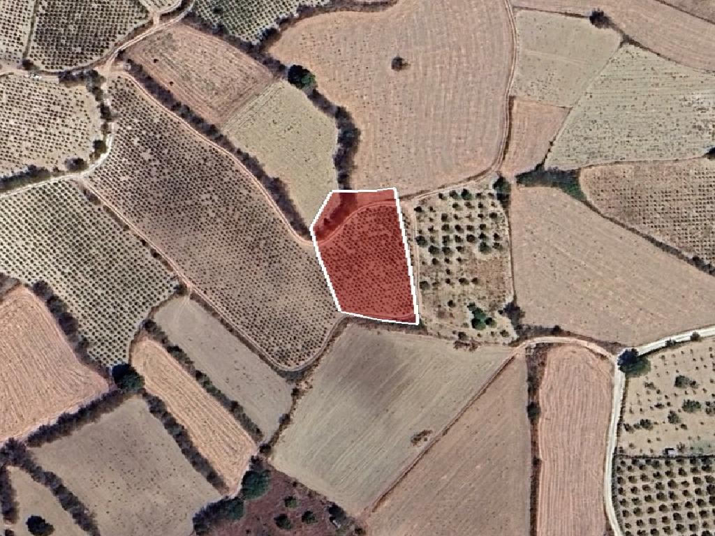 Field-Stroumpi-PR41264