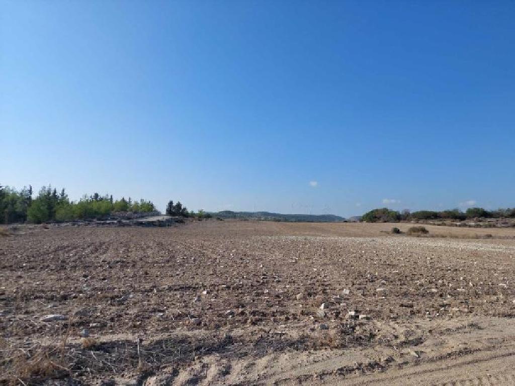 Field-Aradippou-PR41465