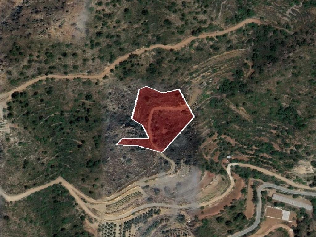 Field-Agioi Vavatsinias-PR41812