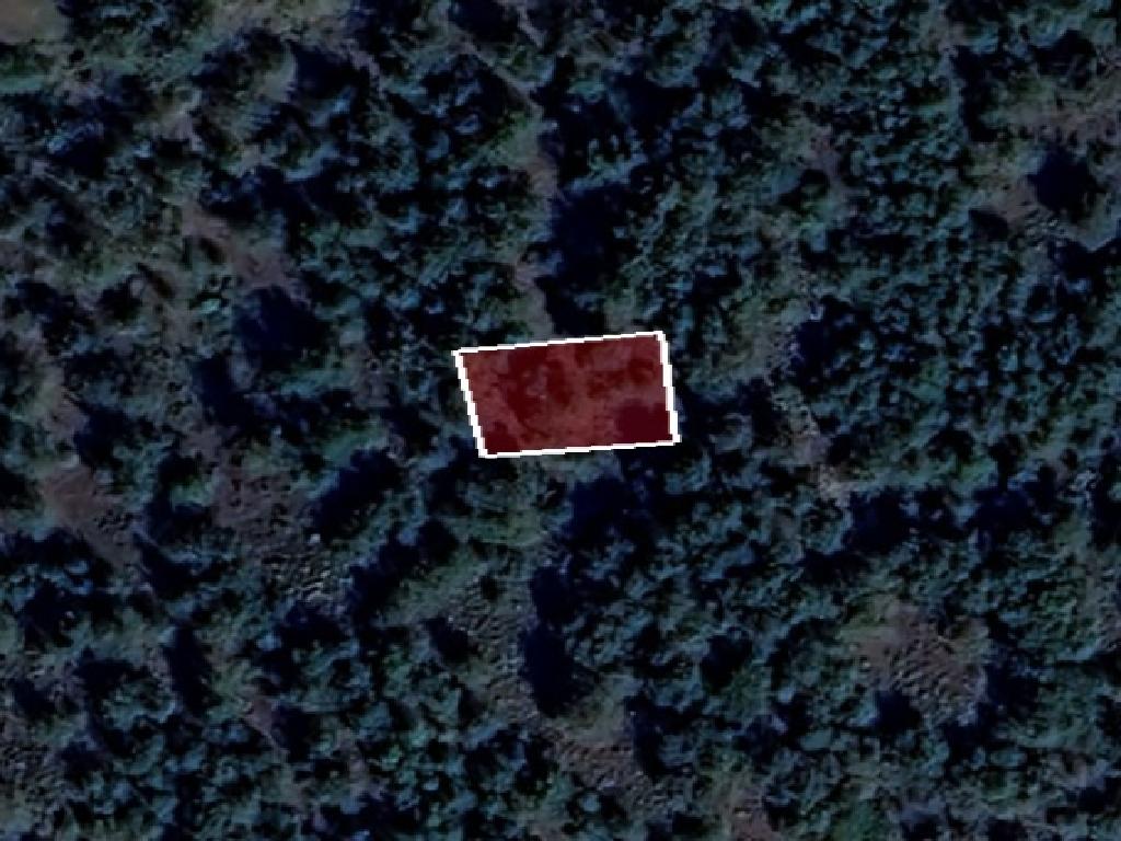 Field-Palaichori Orinis-PR41927