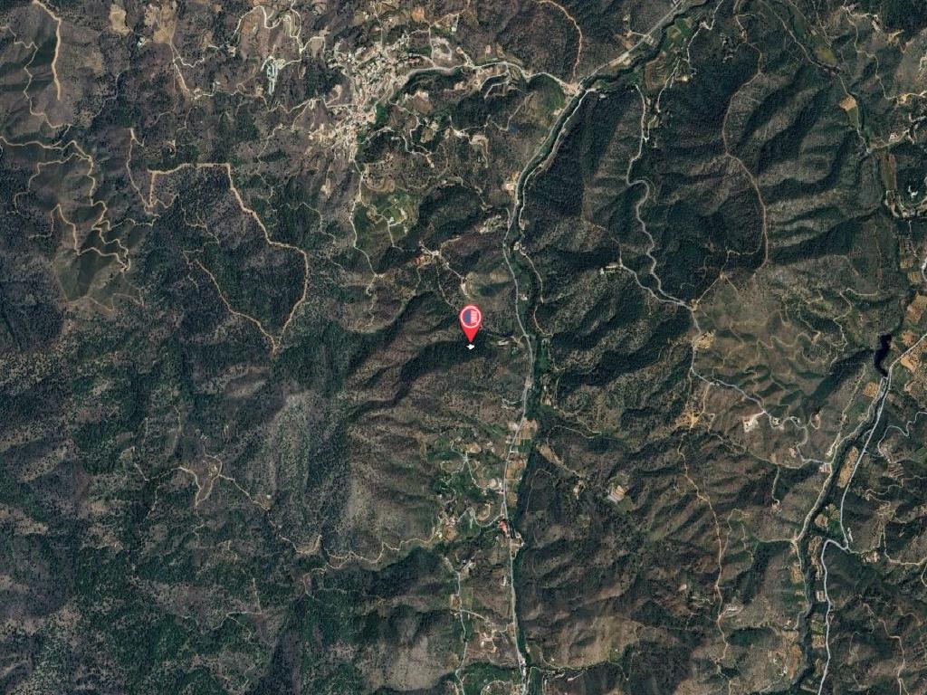Field-Palaichori Orinis-PR41927