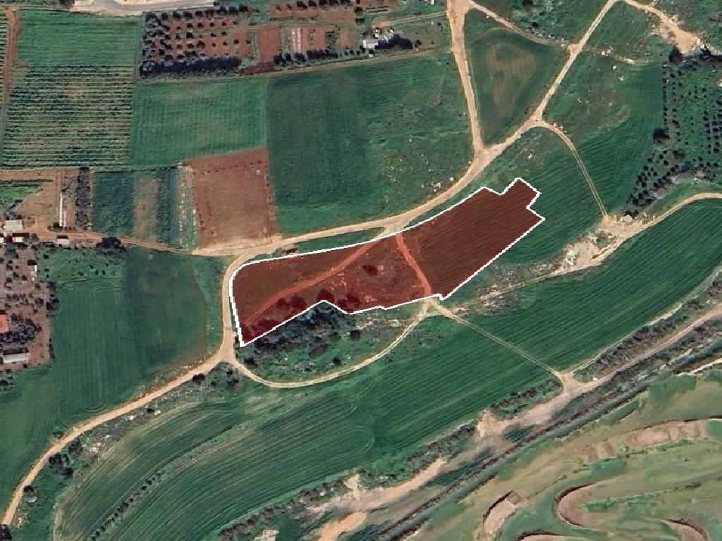 Field-Deryneia-PR42374