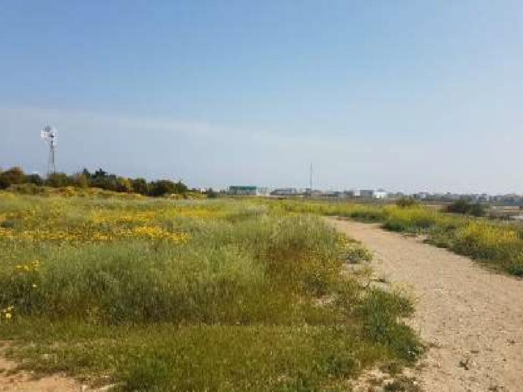 Field-Deryneia-PR42374