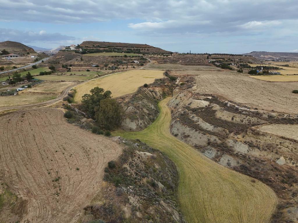 Field-Ergates-PR42629