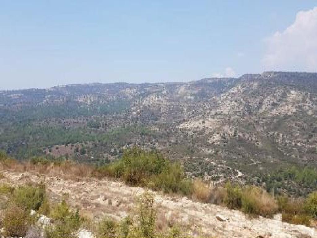 Field (Share) - Dora, Limassol