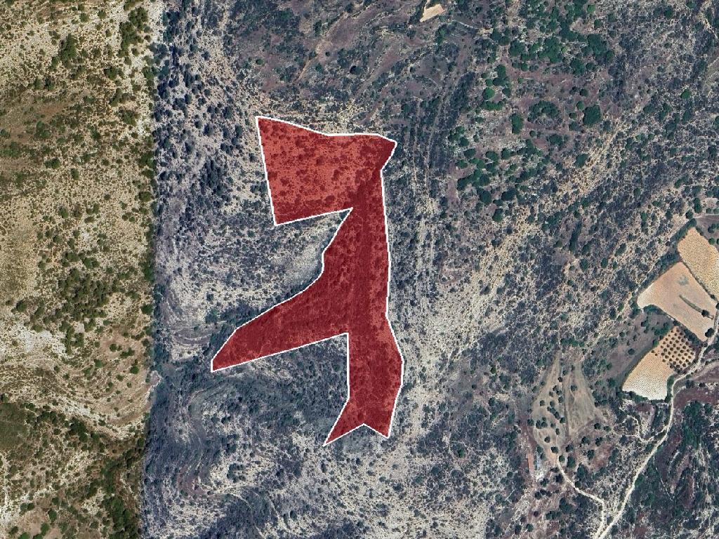 Field (Share) - Dora, Limassol