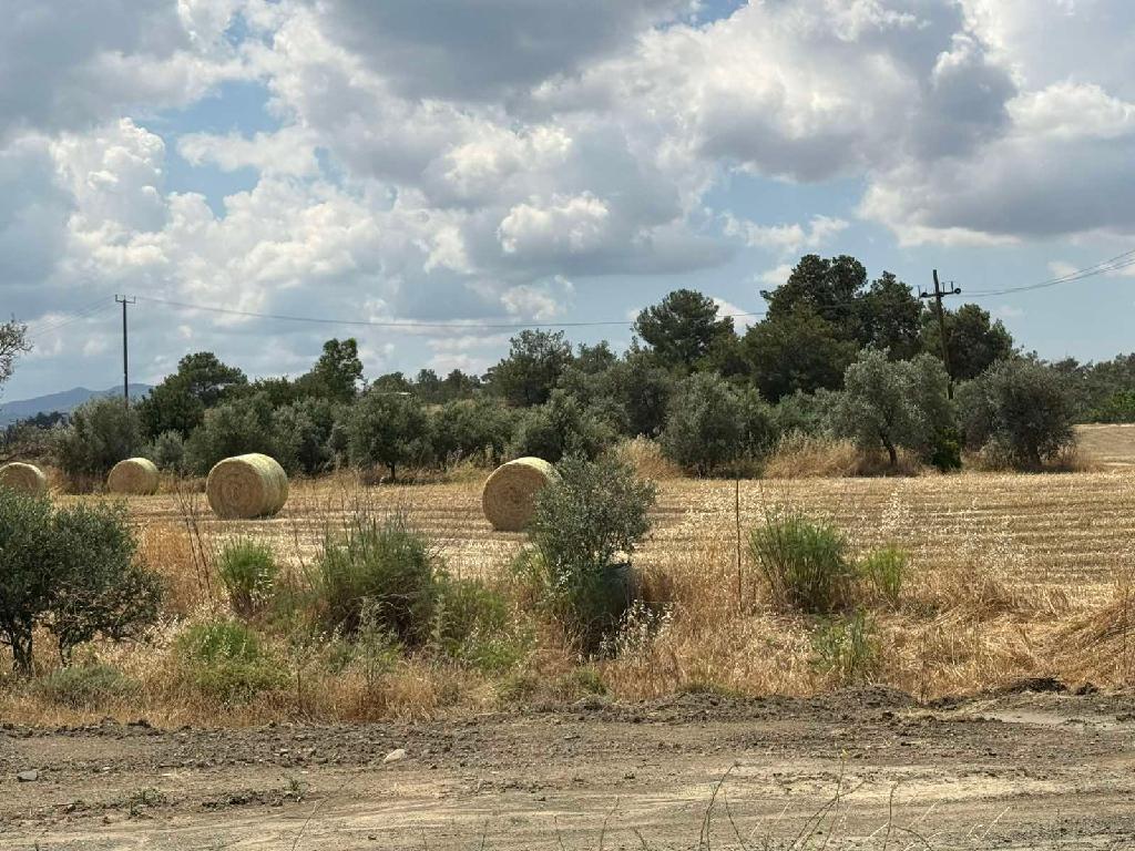 &Chi;&omega;&rho;ά&phi;&iota; - &Mu;&alpha;&theta;&iota;ά&tau;&eta;&sigmaf;, &Lambda;&epsilon;&upsilon;&kappa;&omega;&sigma;ί&alpha;