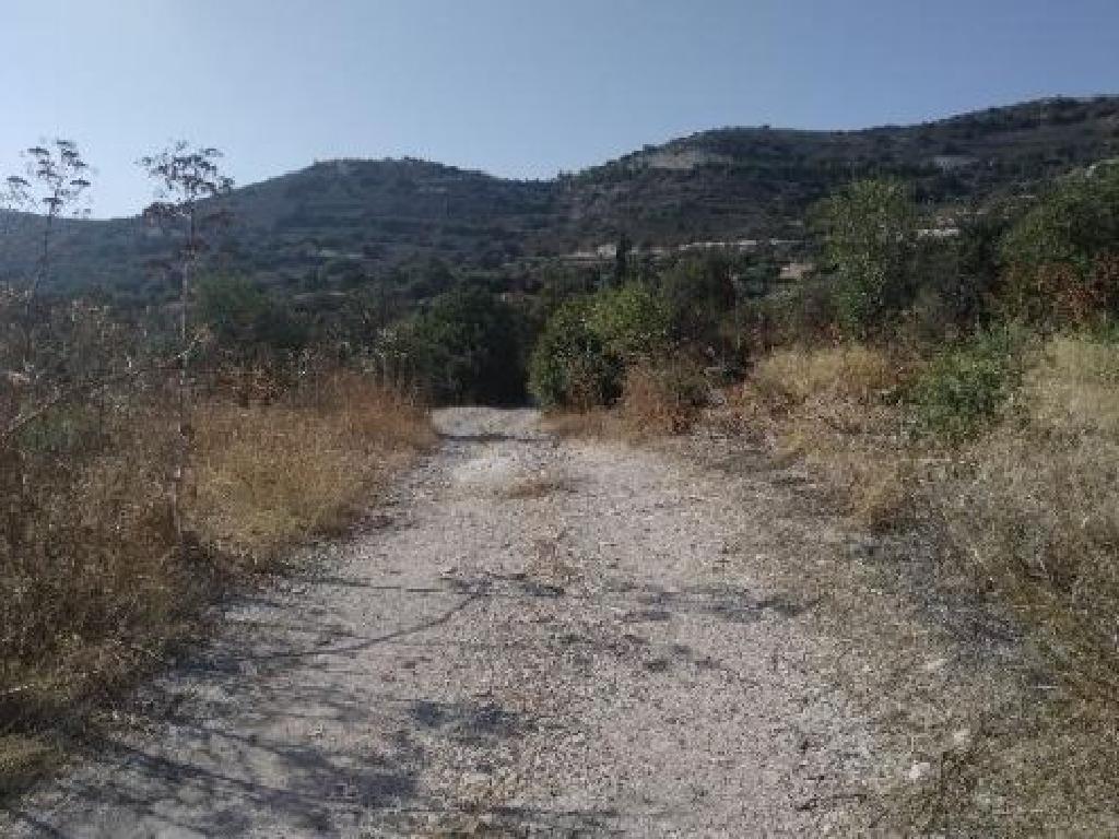 Field - Kato Lefkara, Larnaca