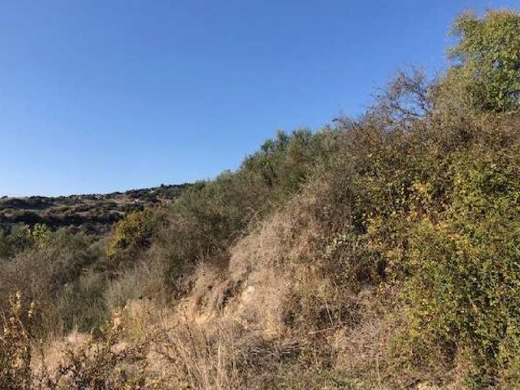 Field – Psathi, Paphos