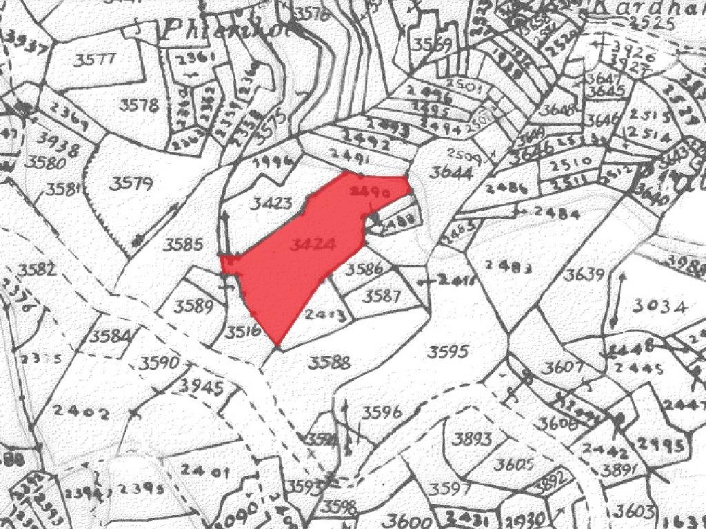 Field-Alona-PR32716