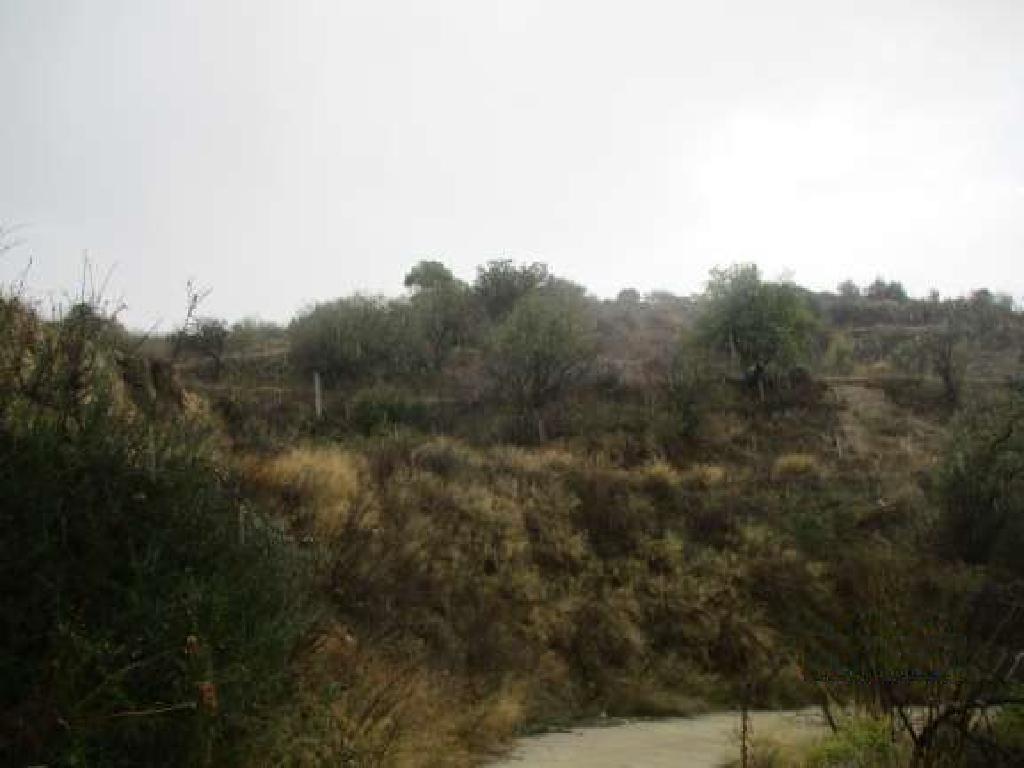 Field-Letymvou-PR34058