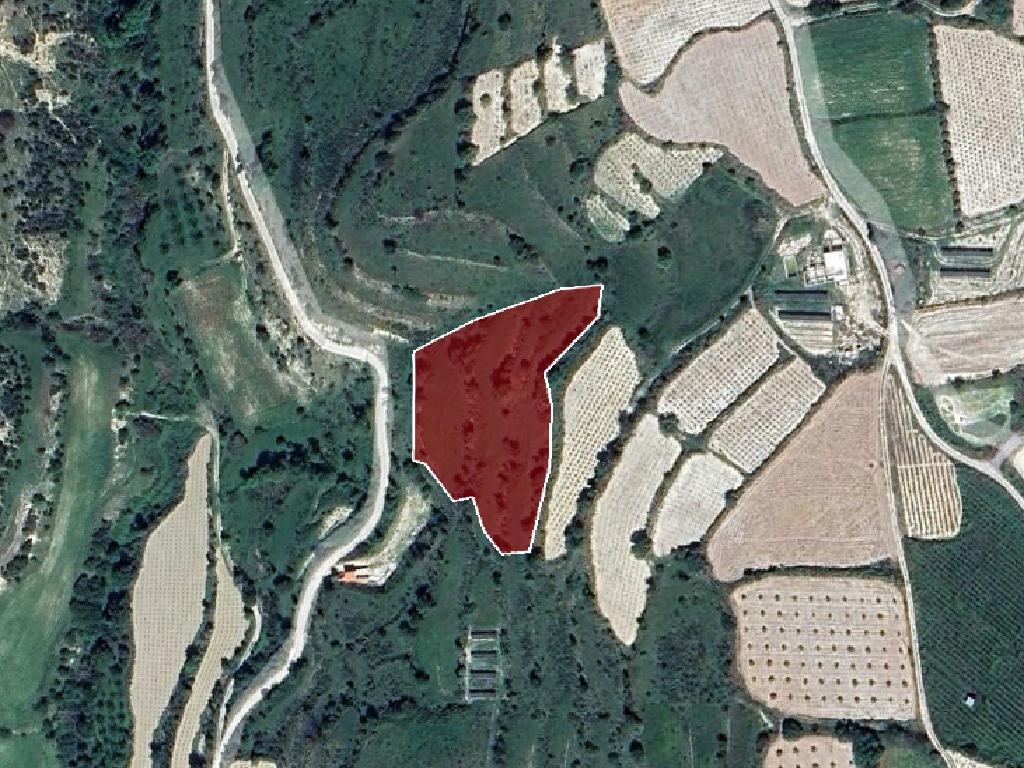 Field-Letymvou-PR34058