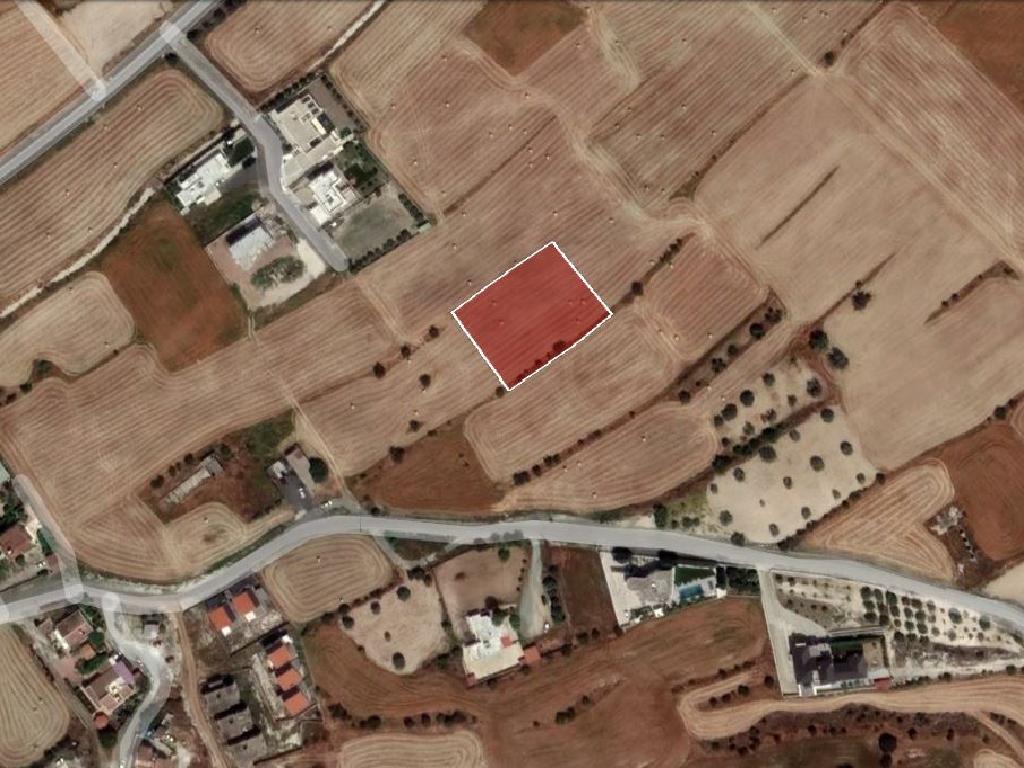 Field - Alambra, Nicosia