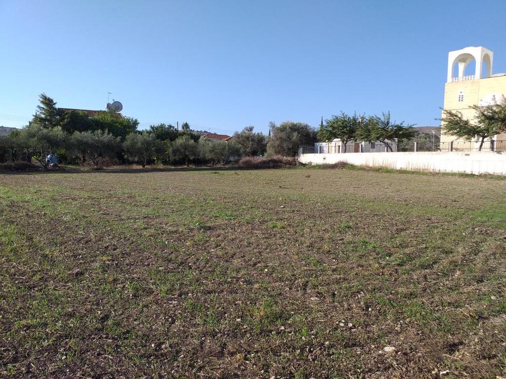 Field - Alambra, Nicosia