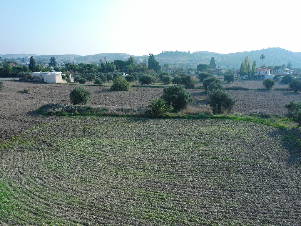 Field - Alambra, Nicosia