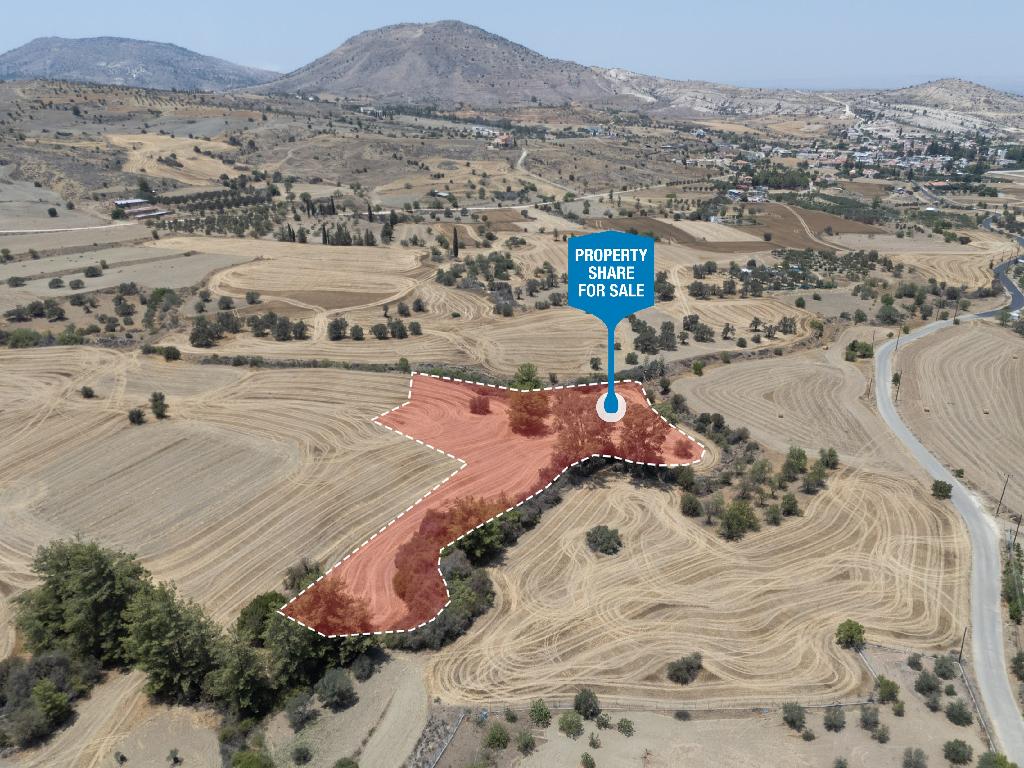 Field-Agrokipia-PR34618