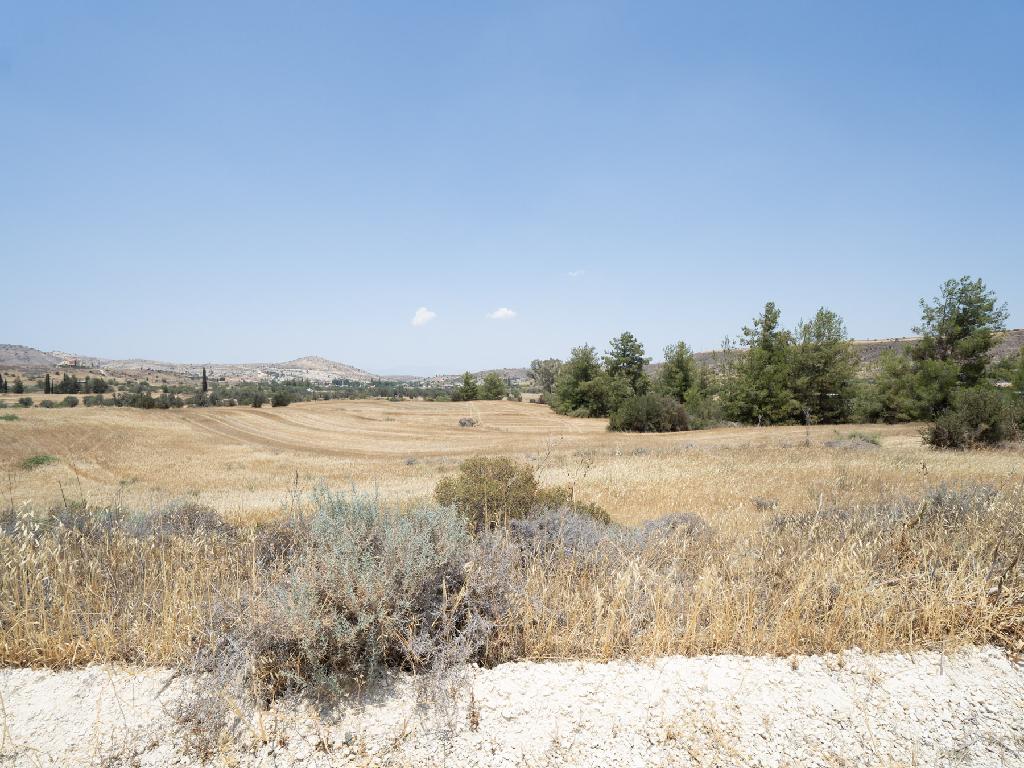 Field-Agrokipia-PR34618
