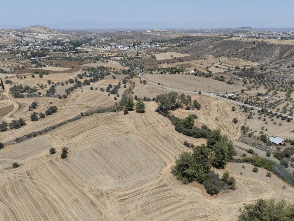 Field (Share) - Agrokipia, Nicosia