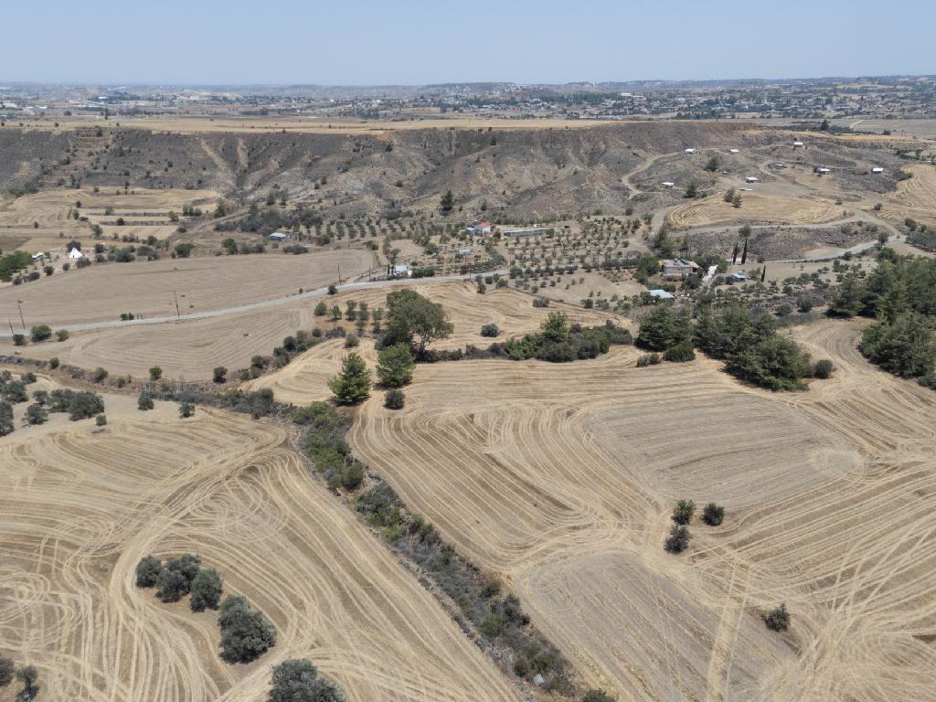 Field (Share) - Agrokipia, Nicosia