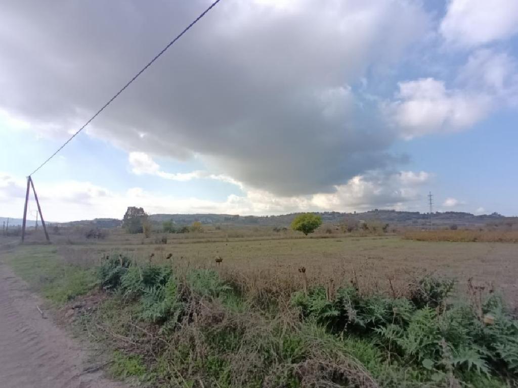 Field (Share) - Stroumpi, Paphos