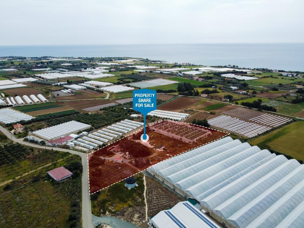 Field (Share) - Psematismenos, Larnaca
