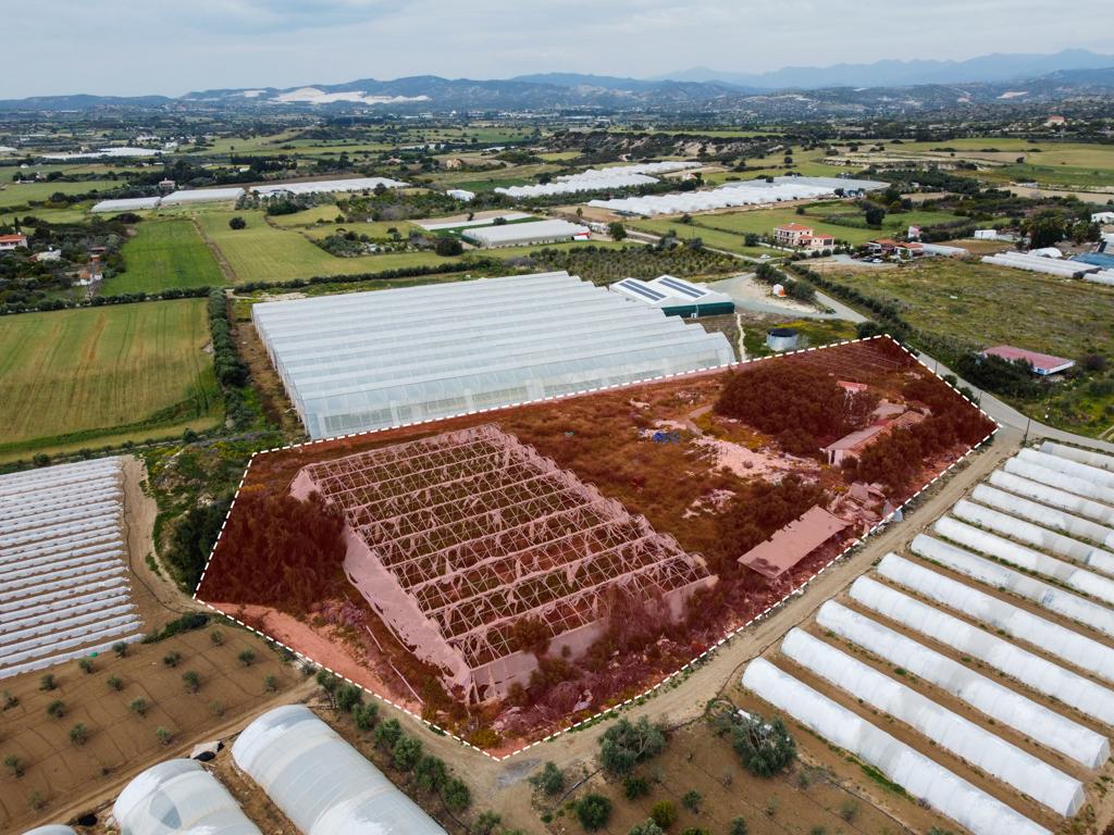 Field (Share) - Psematismenos, Larnaca